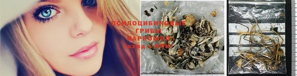 PSILOCYBIN Бородино