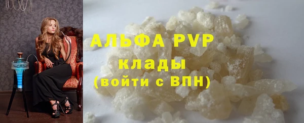 PSILOCYBIN Бородино