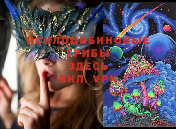 PSILOCYBIN Бородино