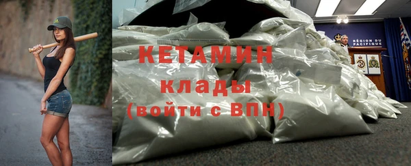 PSILOCYBIN Бородино