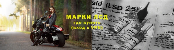 индика Верхнеуральск