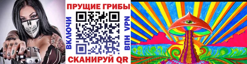 гидра ССЫЛКА  Нерюнгри  Псилоцибиновые грибы Psilocybine cubensis 