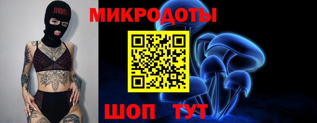 Псилоцибиновые грибы мухоморы Нерюнгри
